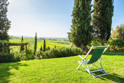 Variétés d'abricotiers: de petits arbres robustes arrivent