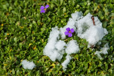 Dans quelle mesure l'oreiller bleu est-il résistant?