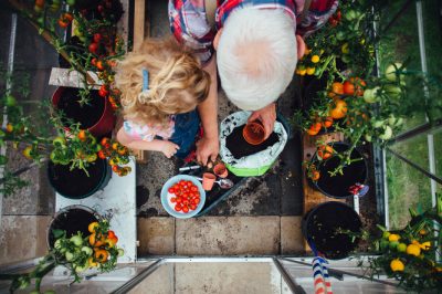 Un sol parfait pour une nutrition optimale des plantes