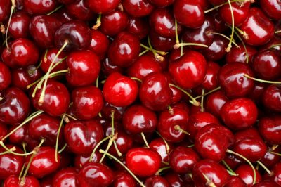 Récoltez les cerises au bon moment