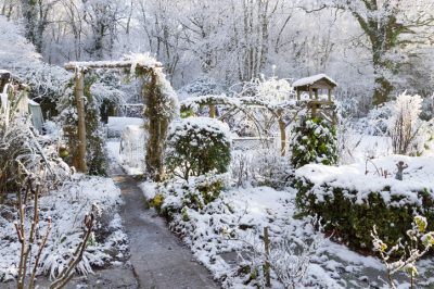 Quel endroit convient à la reine des prés?