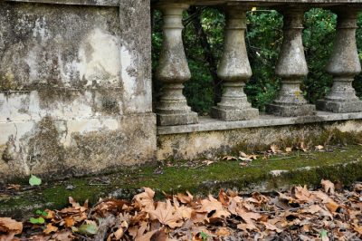 Enlever la mousse du balcon - voici comment cela fonctionne avec les remèdes maison