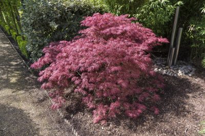 Une pelouse parfaite grâce à l'irrigation souterraine