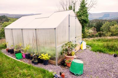 Scarifier et fertiliser correctement la pelouse - voici comment cela fonctionne