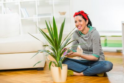 Aussi beau que pratique: un jardin de rocaille dans le lit surélevé