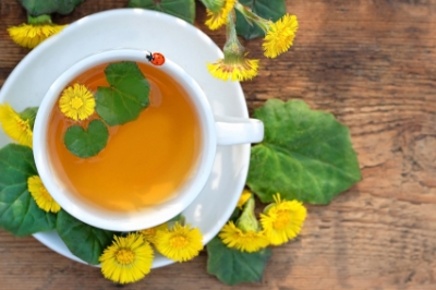 Quel emplacement préfère la fleur de vanille