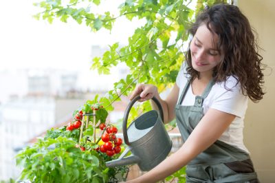 6 conseils pratiques pour créer un jardin de balcon