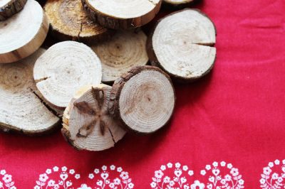 Séchez la grille d'arbre - c'est ainsi que cela fonctionne sans fissures!