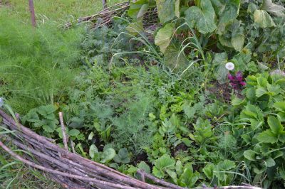 Faites vous-même une bordure de lit en saule - voici comment cela fonctionne