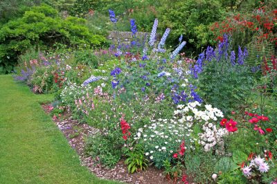 Voici comment créer un jardin de fleurs pittoresque et un plan de plantation
