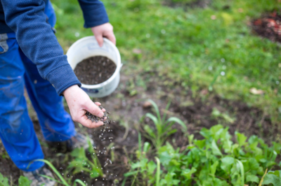 Activateur de sol - informations utiles pour les jardiniers amateurs