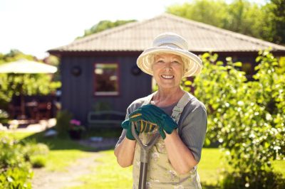 Semez les fèves: à la maison ou au champ