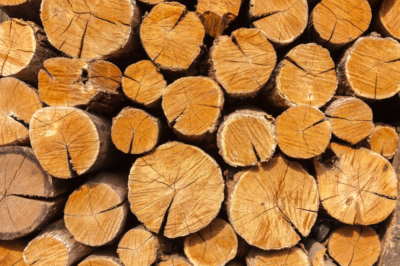 Bois de chêne: comment bien le sécher