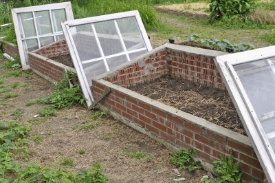 Quand puis-je commencer à planter mon châssis froid? à l'horaire