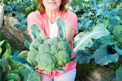 Que rechercher dans les bancs de jardin et les astuces