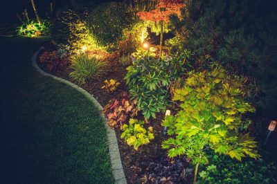 Illuminez le jardin - c'est ainsi que vous mettez le jardin sous la bonne lumière