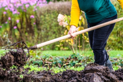 Améliorer le sol du jardin en automne - quatre options