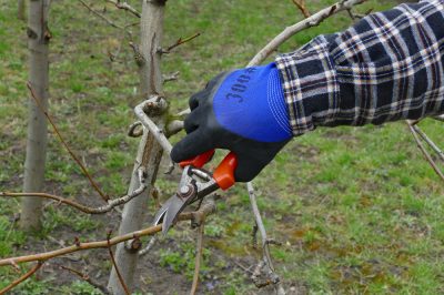 Déplacer la maison de jardin - est-ce possible?