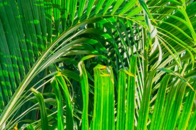 Un mur de jardin sans fondation - cela peut-il fonctionner?