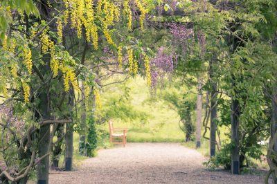 Dalles de jardin - un petit guide d'achat