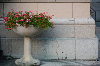 Plantez un grand pot de fleur