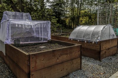 Récoltez plus longtemps dans des plates-bandes surélevées grâce aux cadres froids