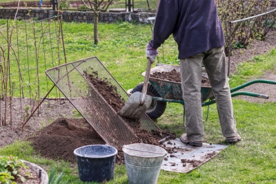 Voici comment les hérissons hivernent dans votre jardin pour les bons quartiers d'hiver