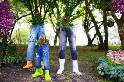 Planter des jeans: un guide