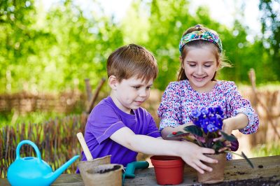 Hivernage des plantes en pot et astuces