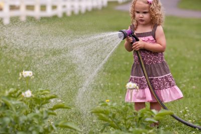 Nudibranches dans le jardin - que faire?