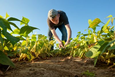 À quelle fréquence les tondeuses à gazon ont-elles besoin d'une vidange d'huile? & Des trucs