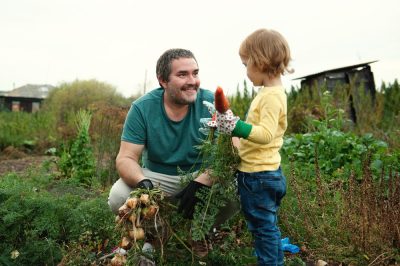 Vider le baril de pluie avec un tuyau