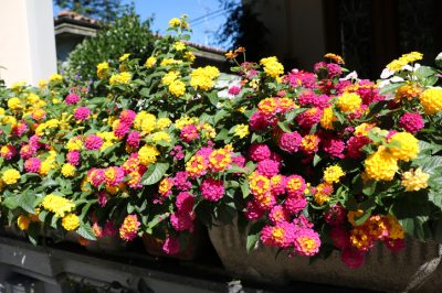 Bons conseils pour construire vous-même une balançoire pour enfants