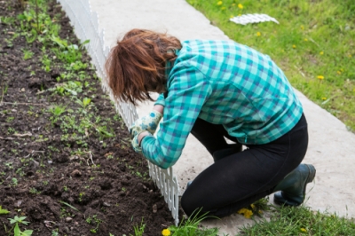 Voici comment les plantes succulentes hivernent pour un hiver sain