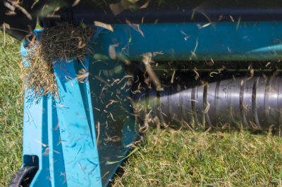 Scarifier correctement la pelouse - à quelle profondeur doit-elle être?