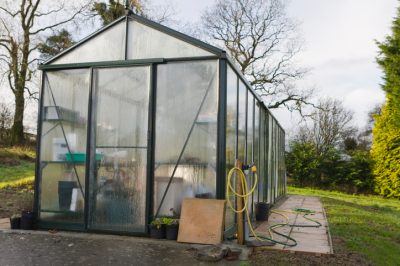 Vers indésirables dans le pot de fleurs